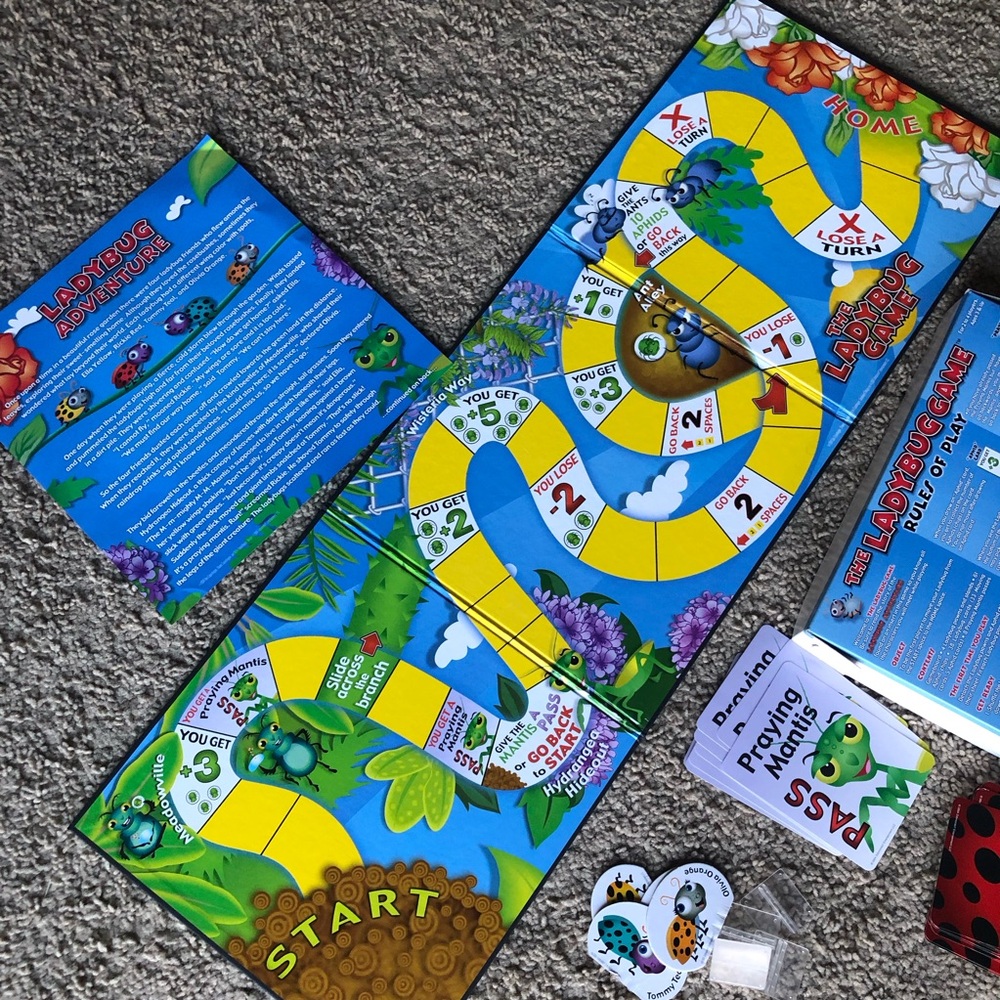 The Lady Bug Game - Picture 4 of 11